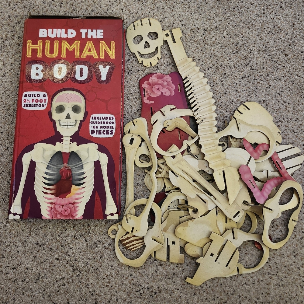 Build the human body / book